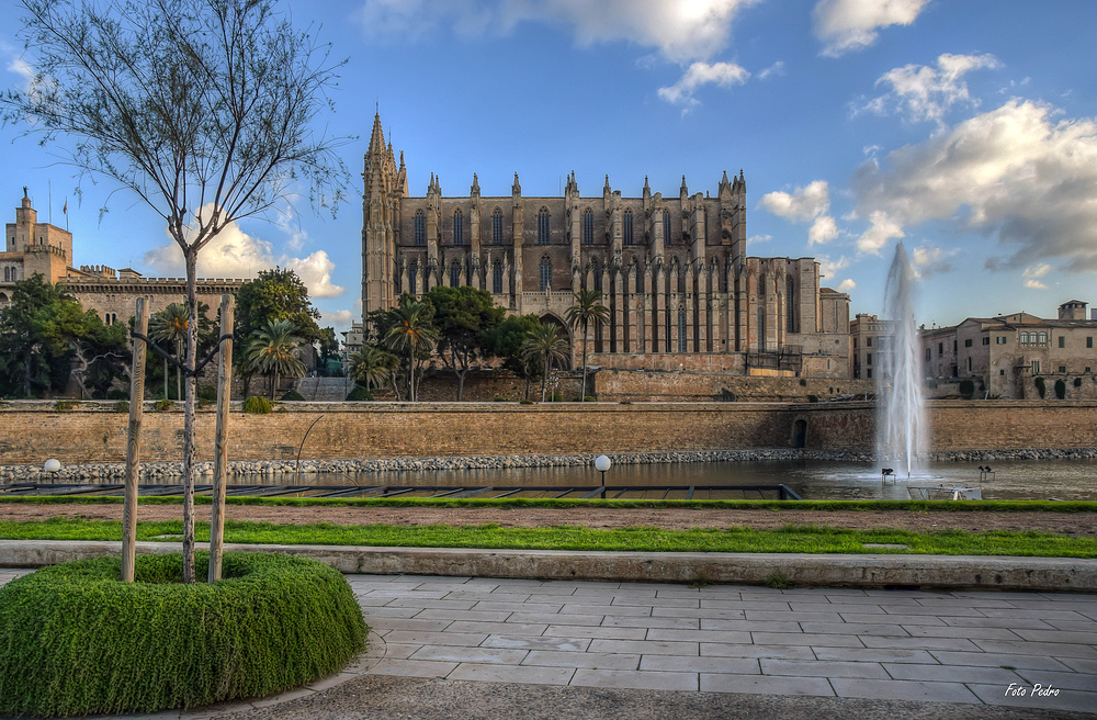 Kathedrale La Seu #2