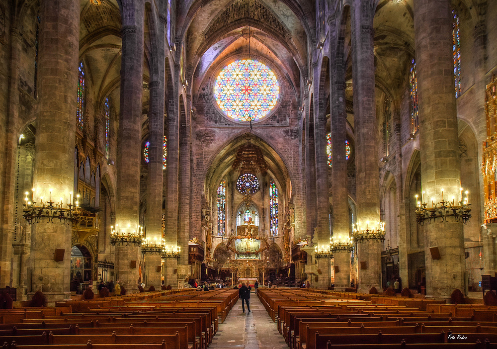 Kathedrale La Seu #3