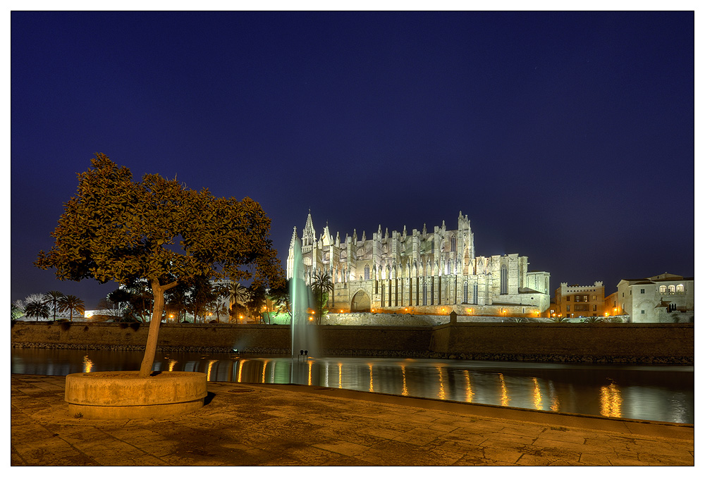 Kathedrale La Seu bei Nacht