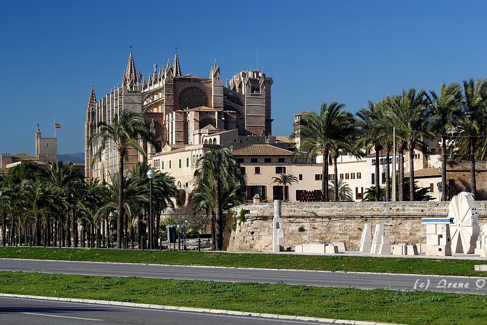 Kathedrale La Seu (rechts)