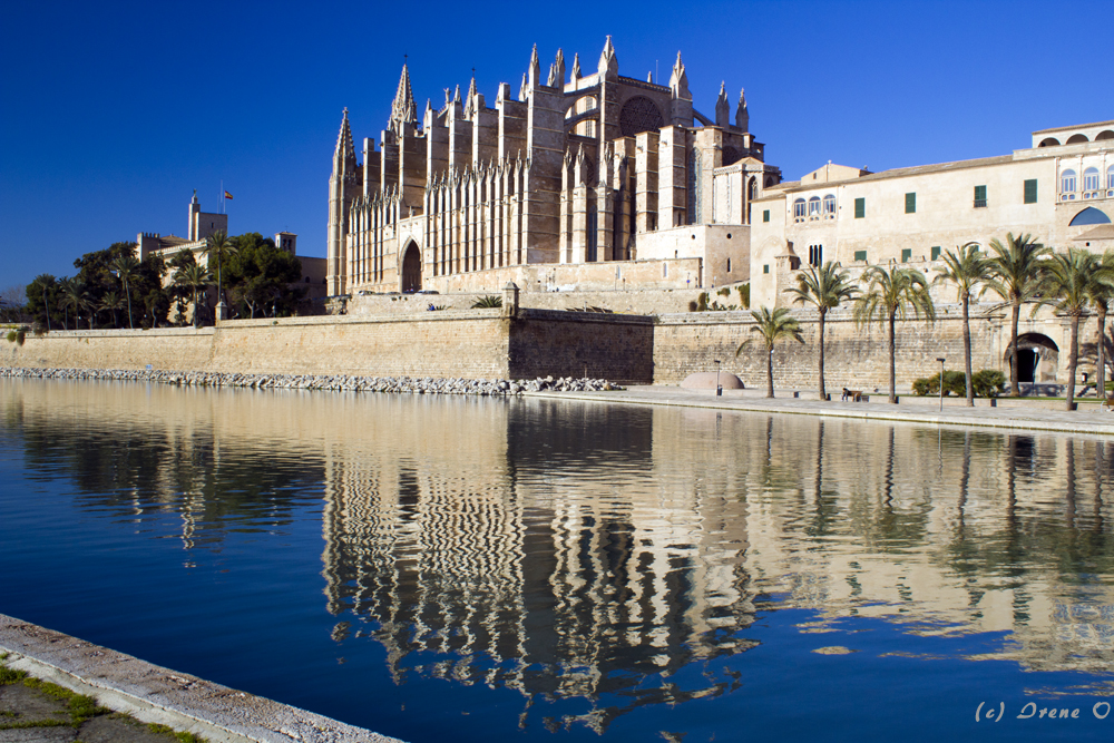 Kathedrale La Seu (Spiegelung)