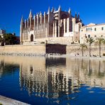 Kathedrale La Seu (Spiegelung)