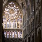 Kathedrale Metz Rosette