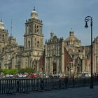 Kathedrale Mexico - City