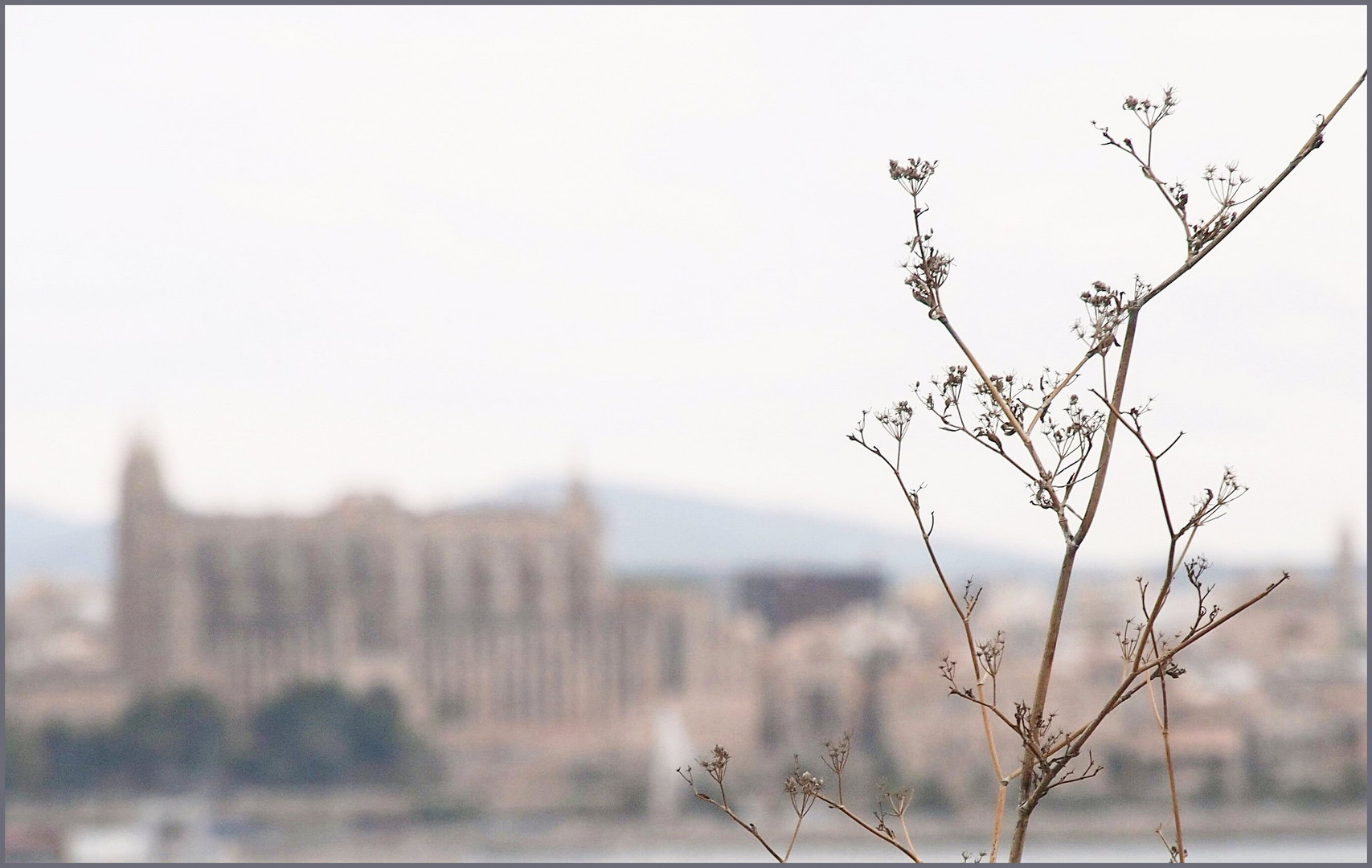 Kathedrale Palma