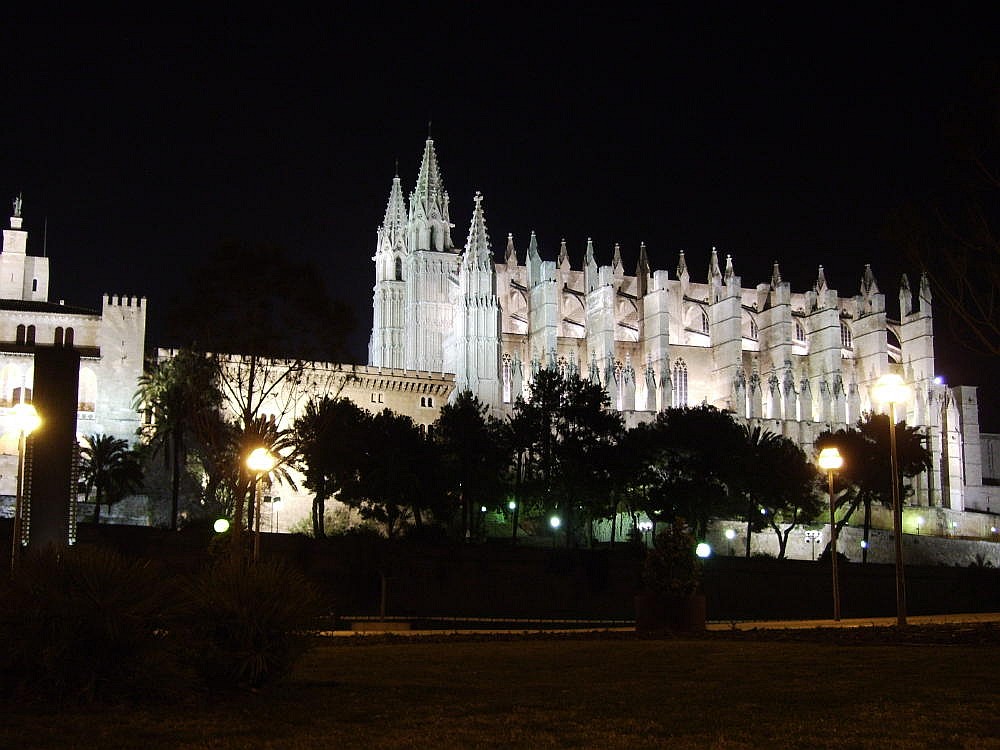 Kathedrale Palma bei Nacht