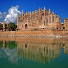 Kathedrale Palma im Spiegelbild