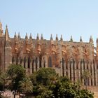 Kathedrale Palma La Seu