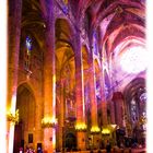 Kathedrale Palma Vormittagslicht