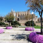 kathedrale von palma de mallorca