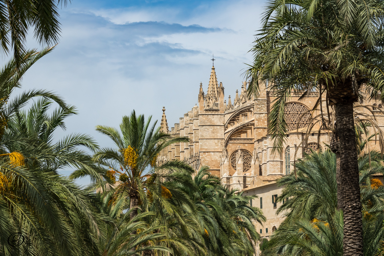 Kathedrale von Palma - La Seu -