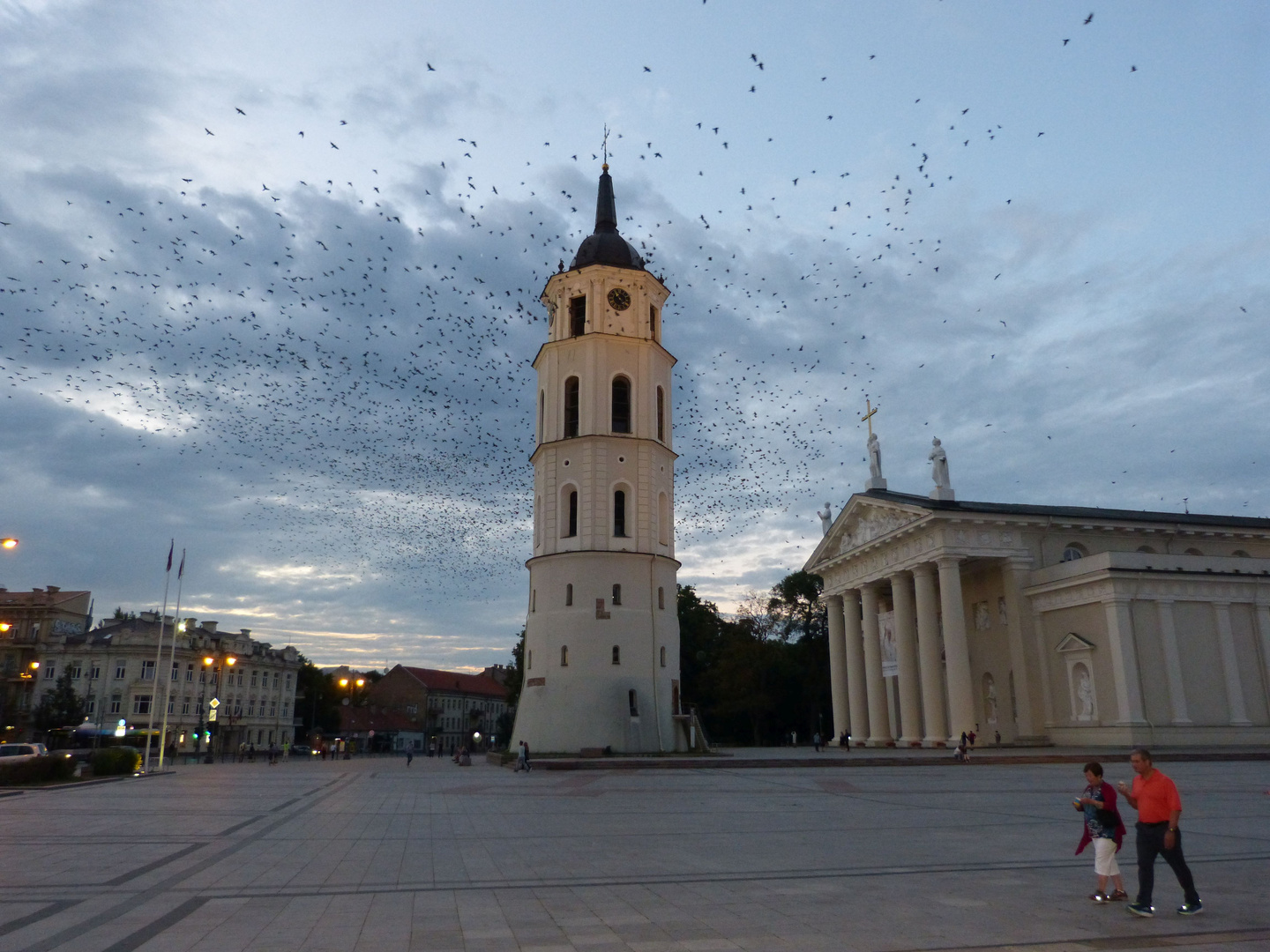 Kathedrale von Vilnius 