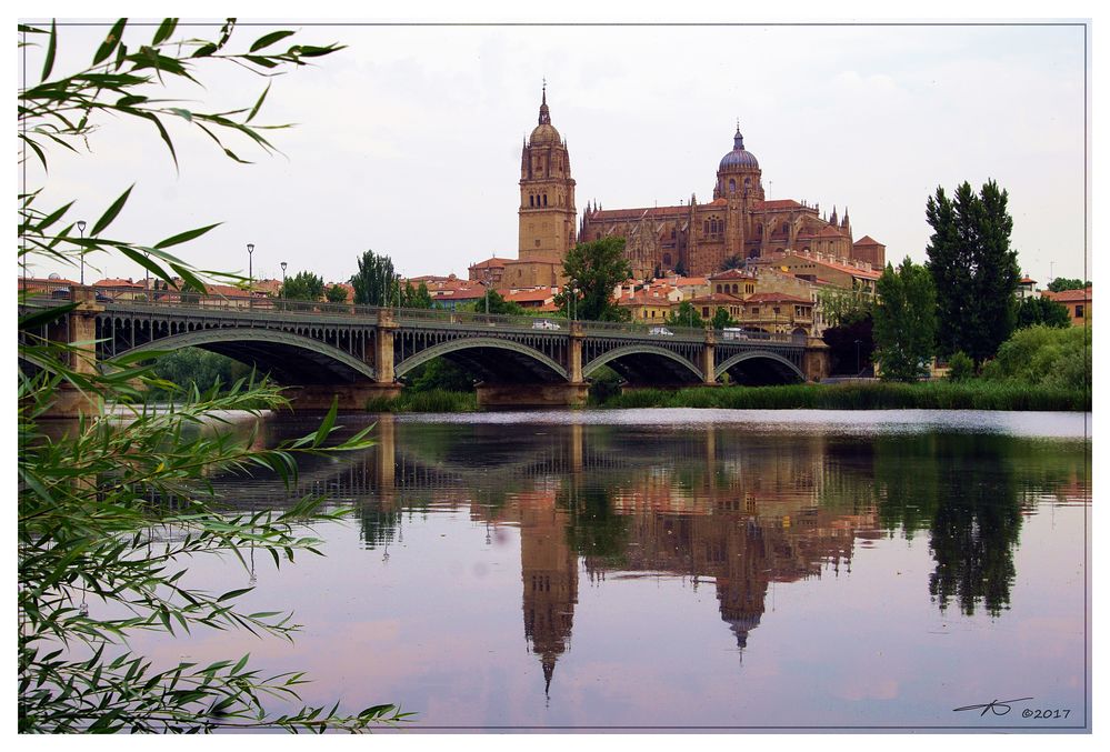 Kathedrale_Salamanca_170619