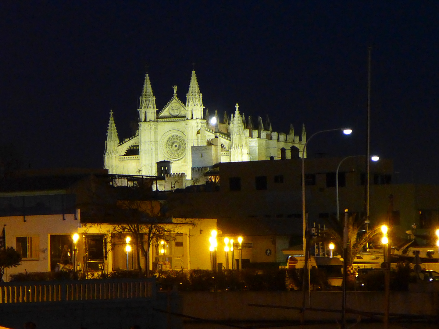 Kathetrale von Palma de Mallorca bei Nacht