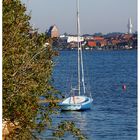 Kathi auf dem Binnensee