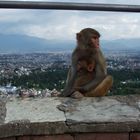 Kathmandu desde el Monkey Temple