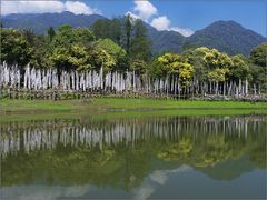 kathog lake