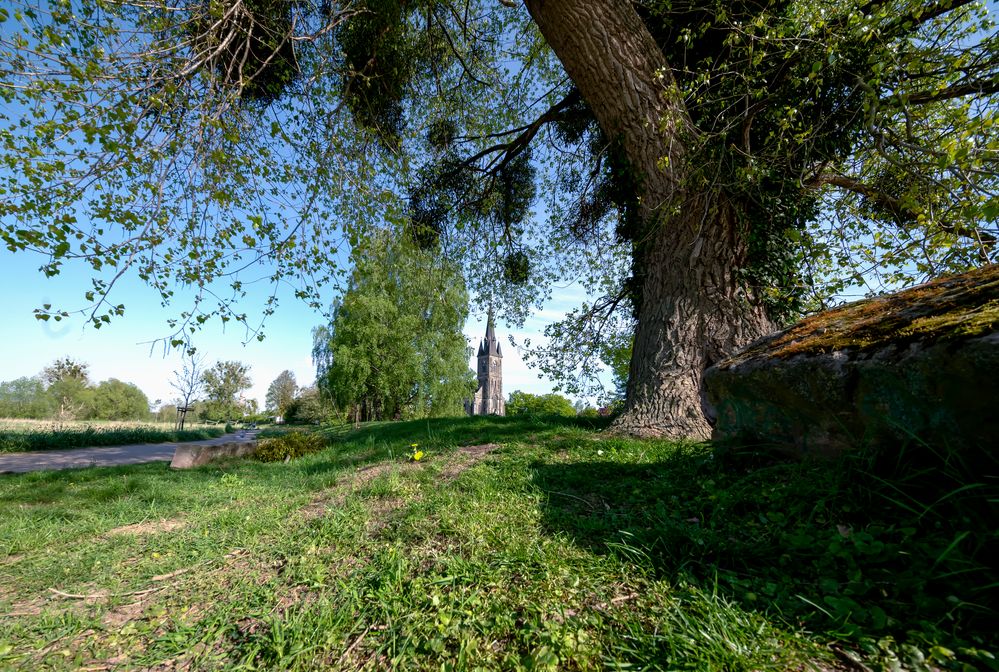 Katholische Kirche St. Sturmius, Rinteln