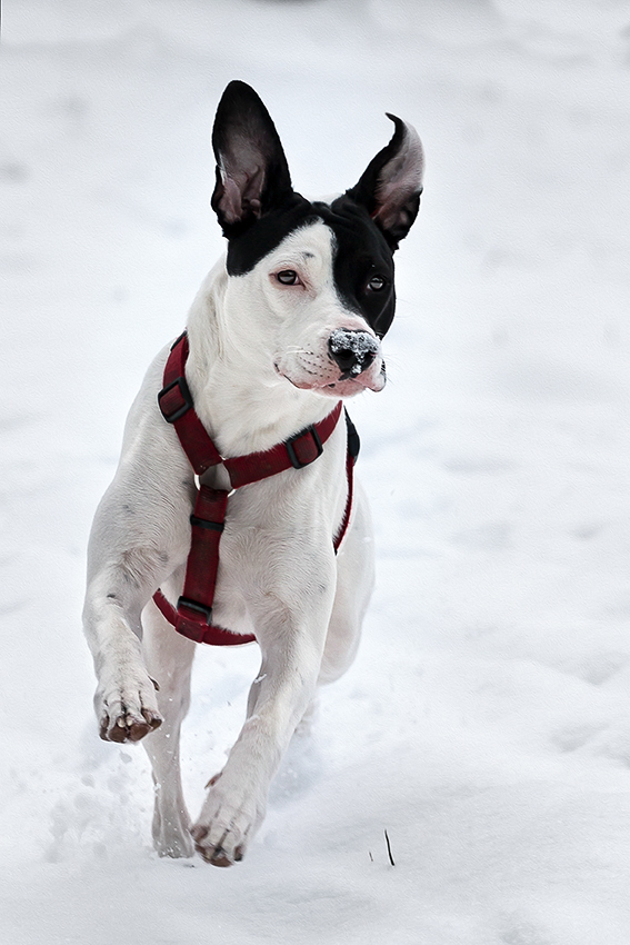 Kathy im Schnee