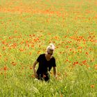 KATHY UND DER GELIEBTE MOHN