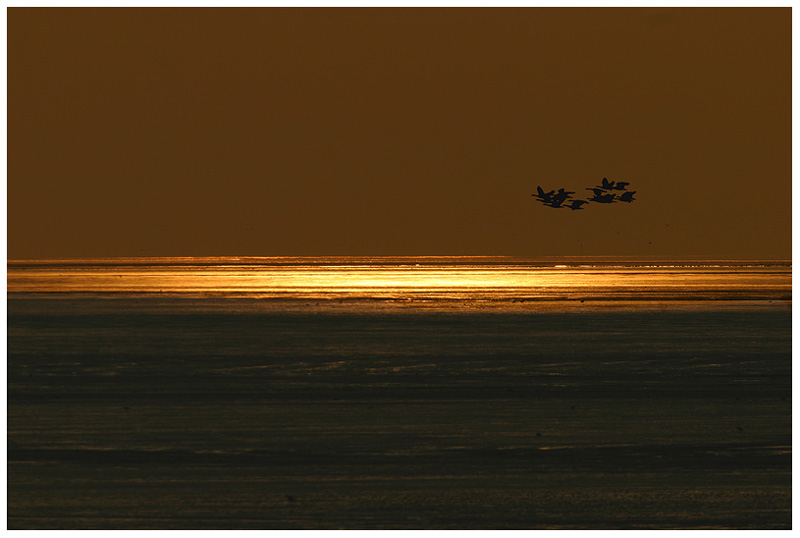 Katinger Watt bei Sonnenuntergang...