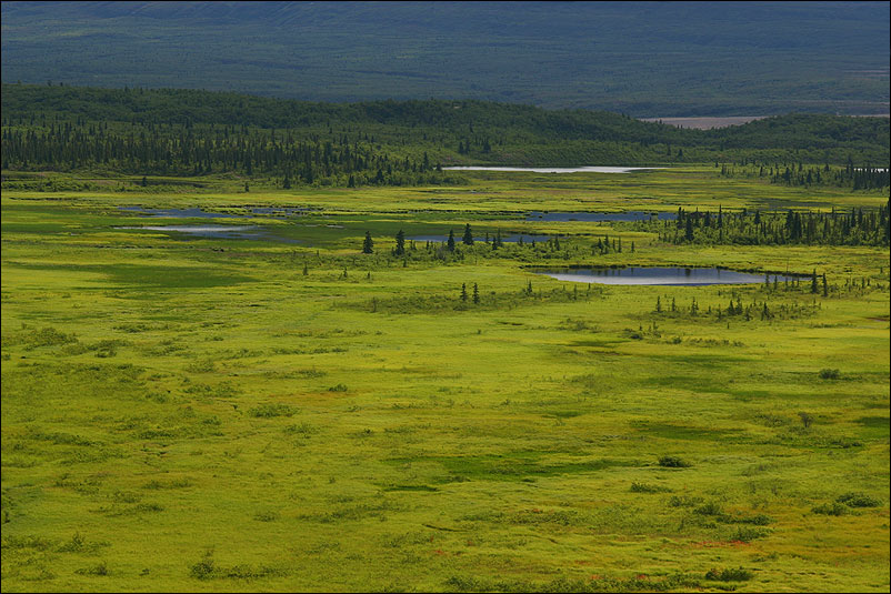 Katmai Landscape