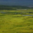 Katmai Landscape