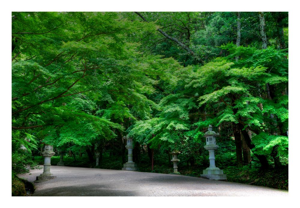 KATORI SHRINE-2