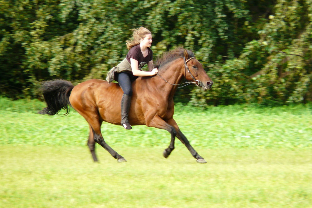 Katrin und Saphir im Galopp