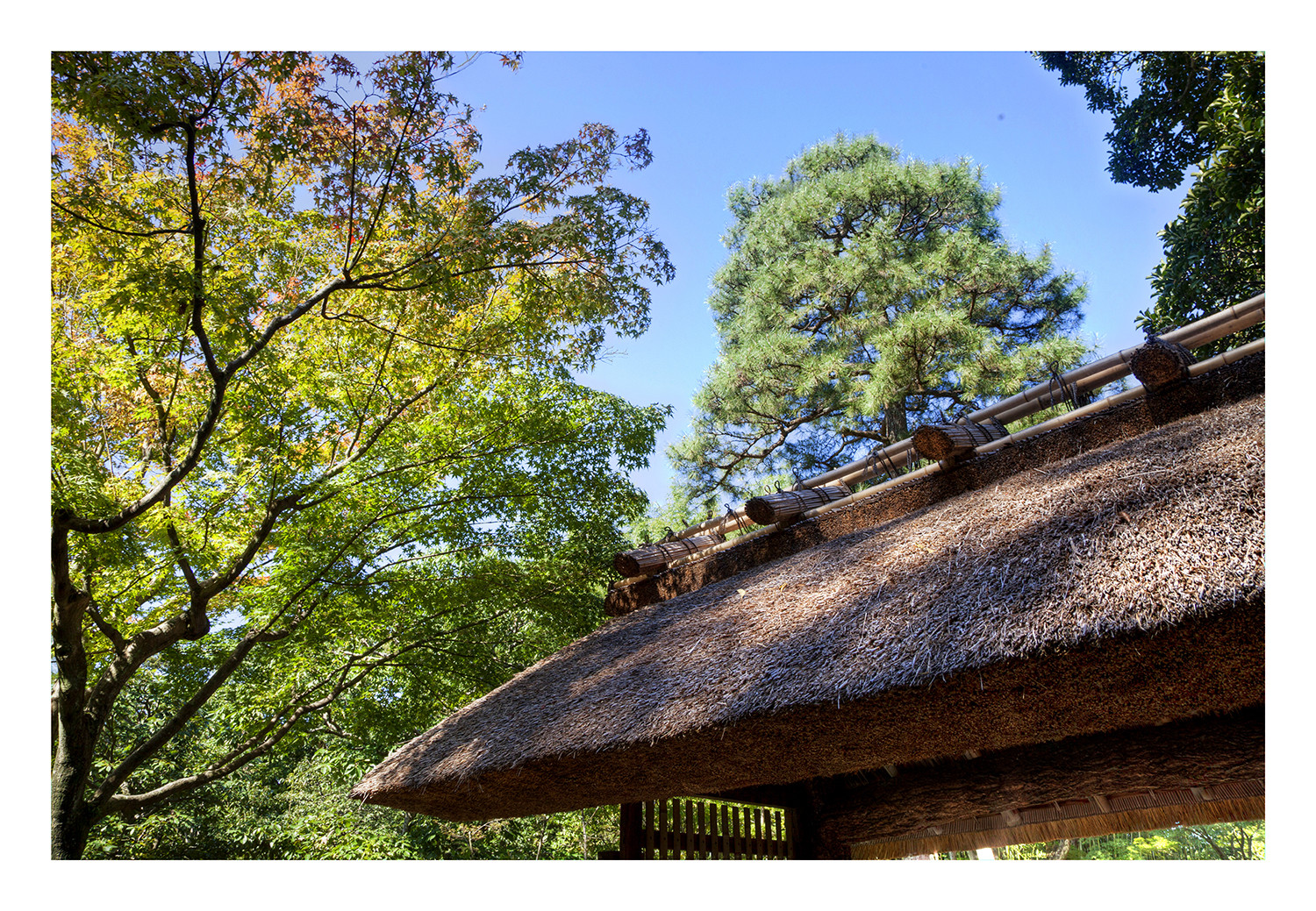 Katsura Imperial Villa in Kyoto-2