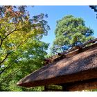 Katsura Imperial Villa in Kyoto-2