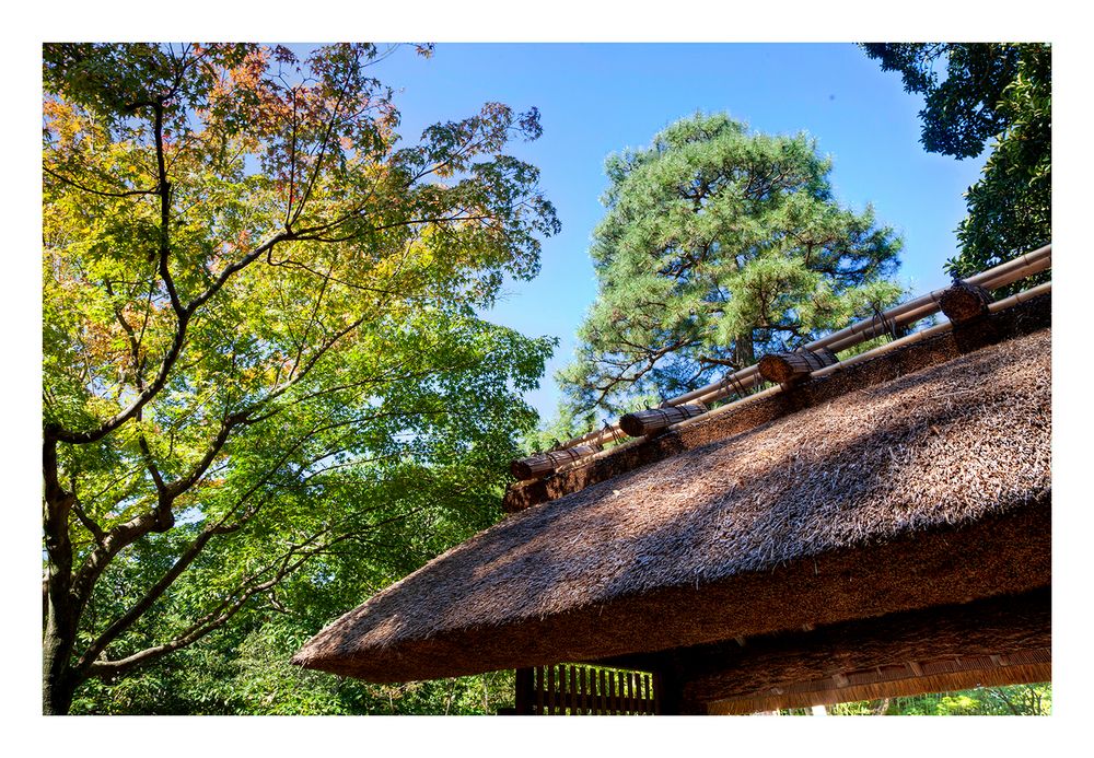 Katsura Imperial Villa in Kyoto-2