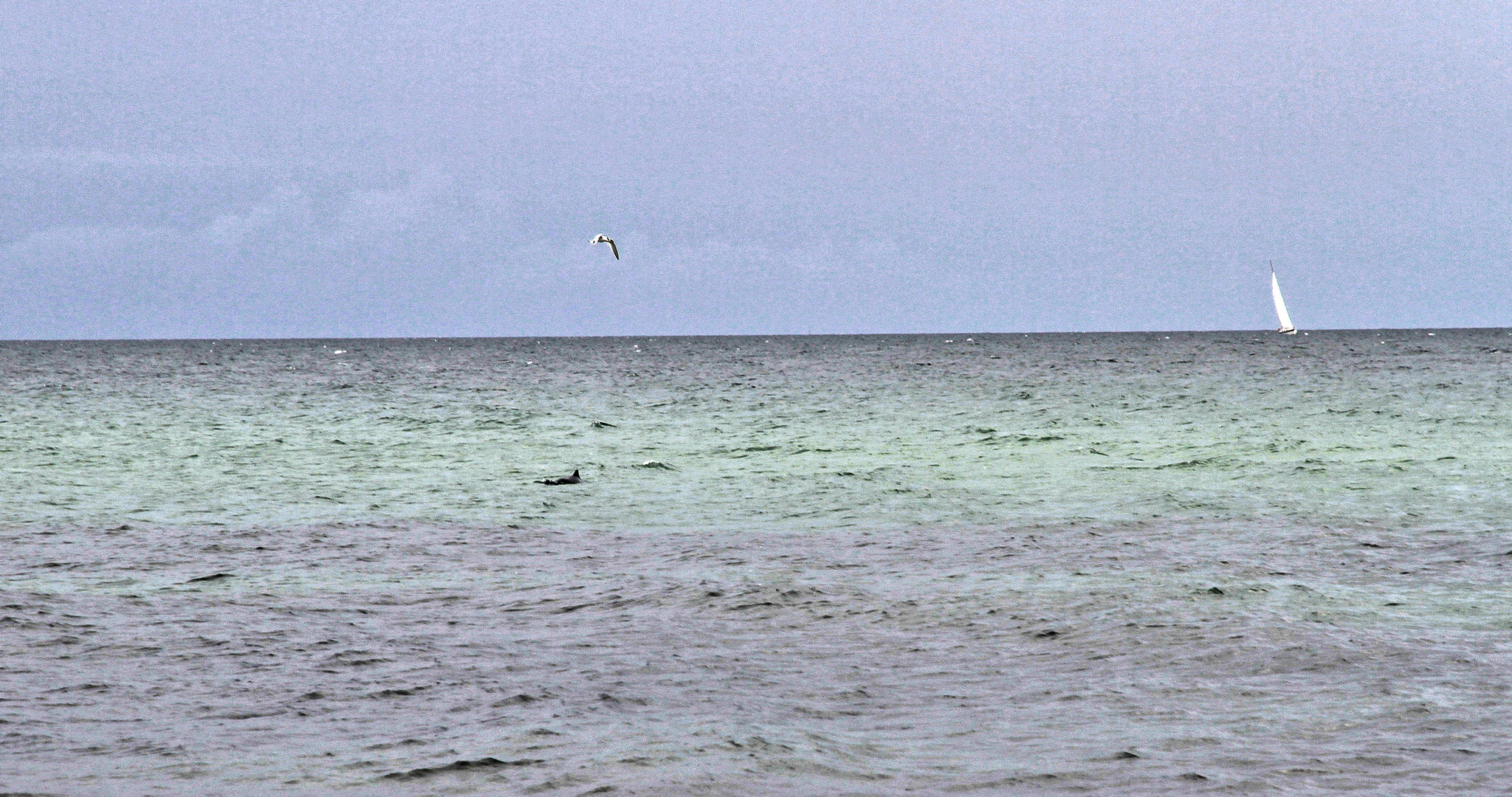 Kattegat in der Ostsee