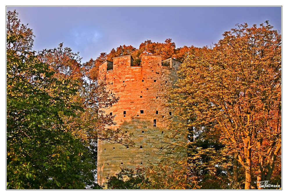 kattenturm im herbst