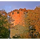 kattenturm im herbst