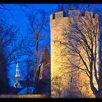 kattenturm in blau