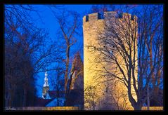 kattenturm in blau