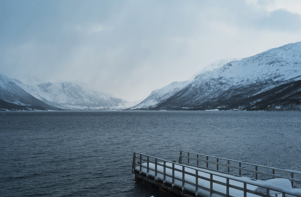 Kattfjord