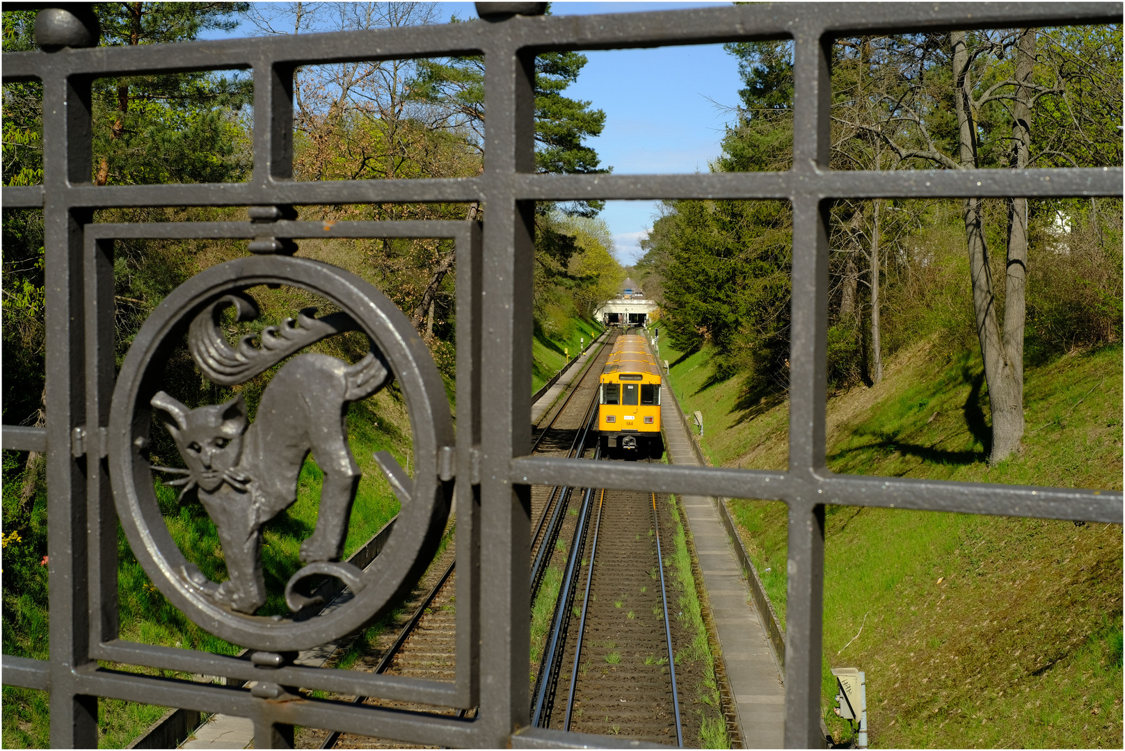 Katz und U-Bahn