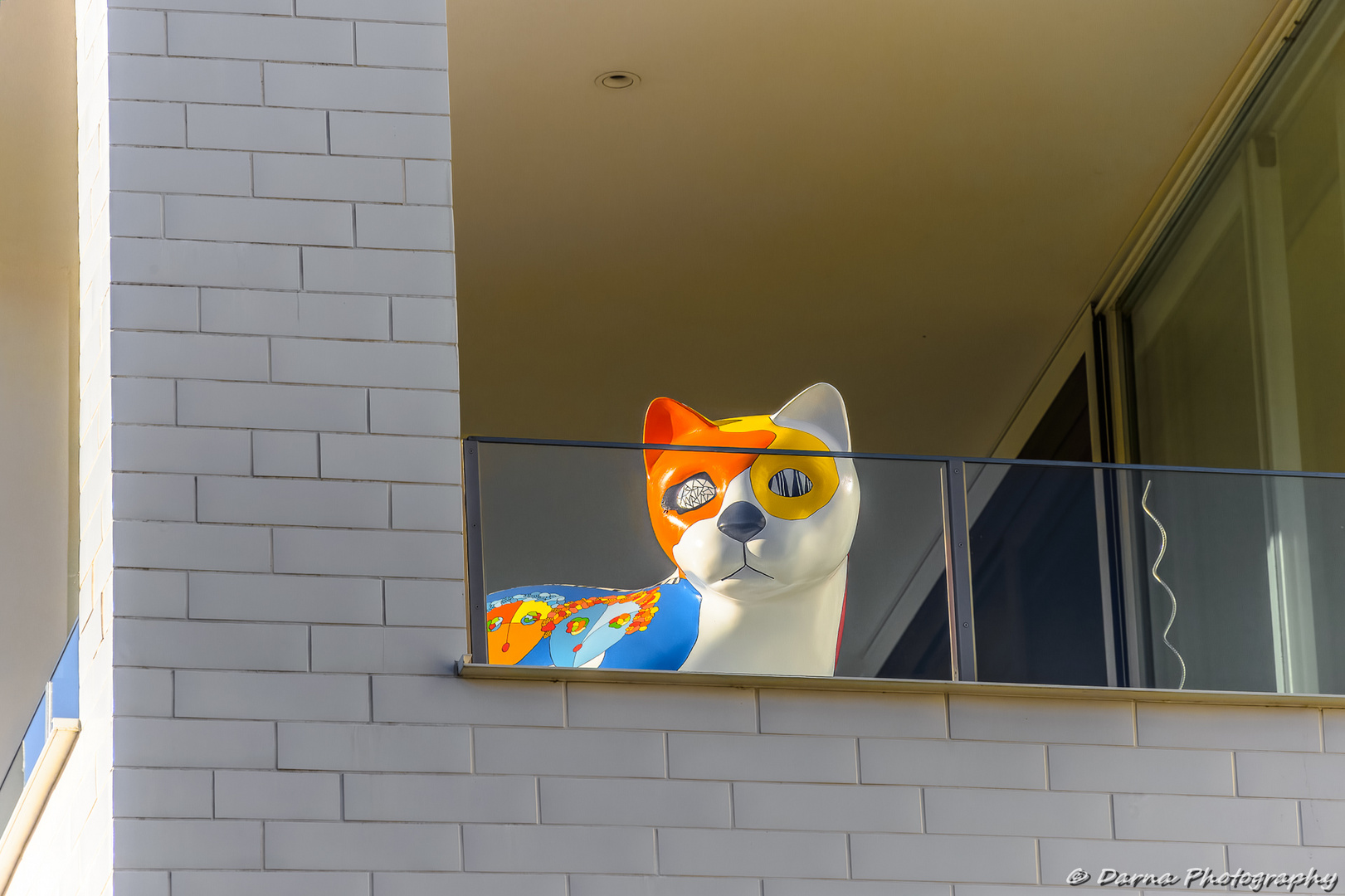 Katze am Balkon