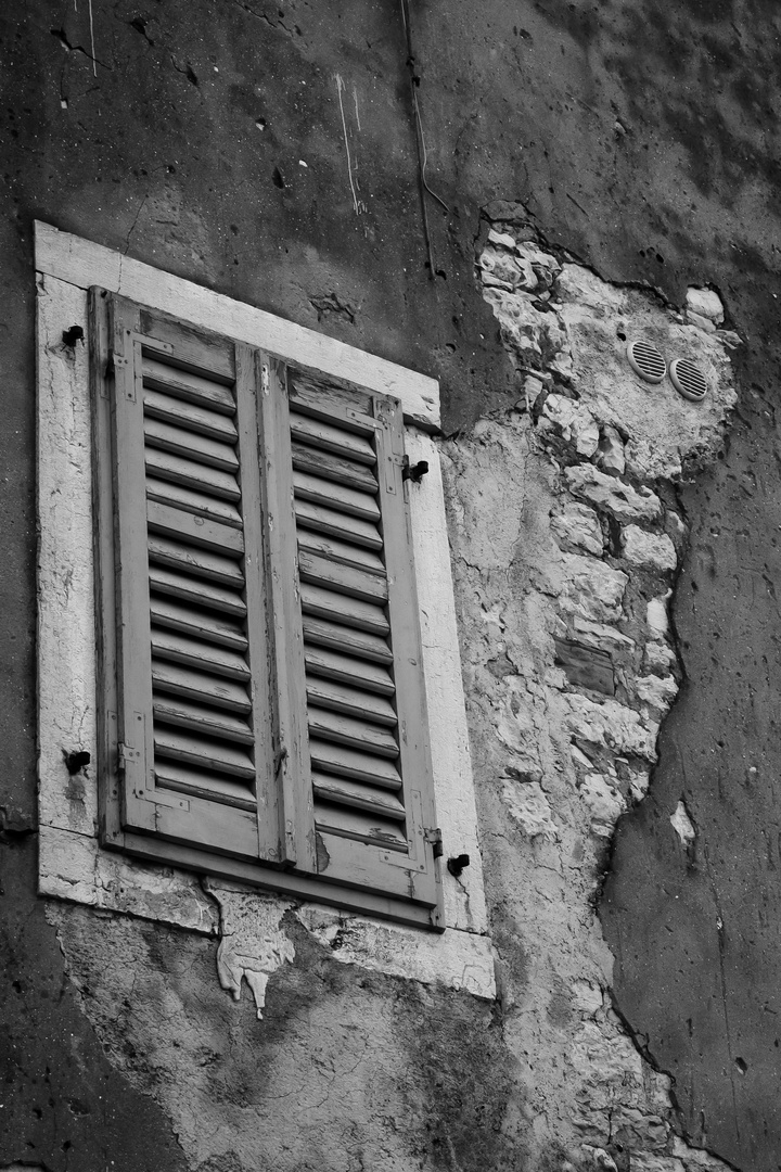 Katze am Fenster