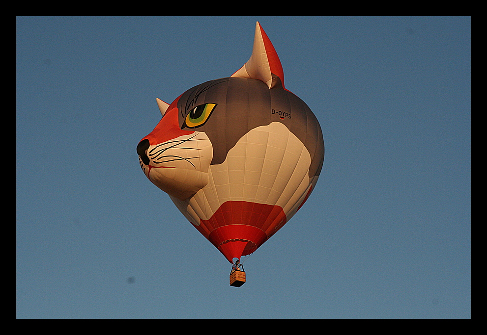 Katze am Himmel des Sauerlandes