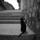 katze an der treppe