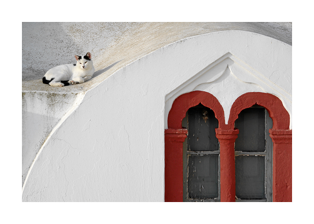 Katze auf dem Kirchendach (Santorini)