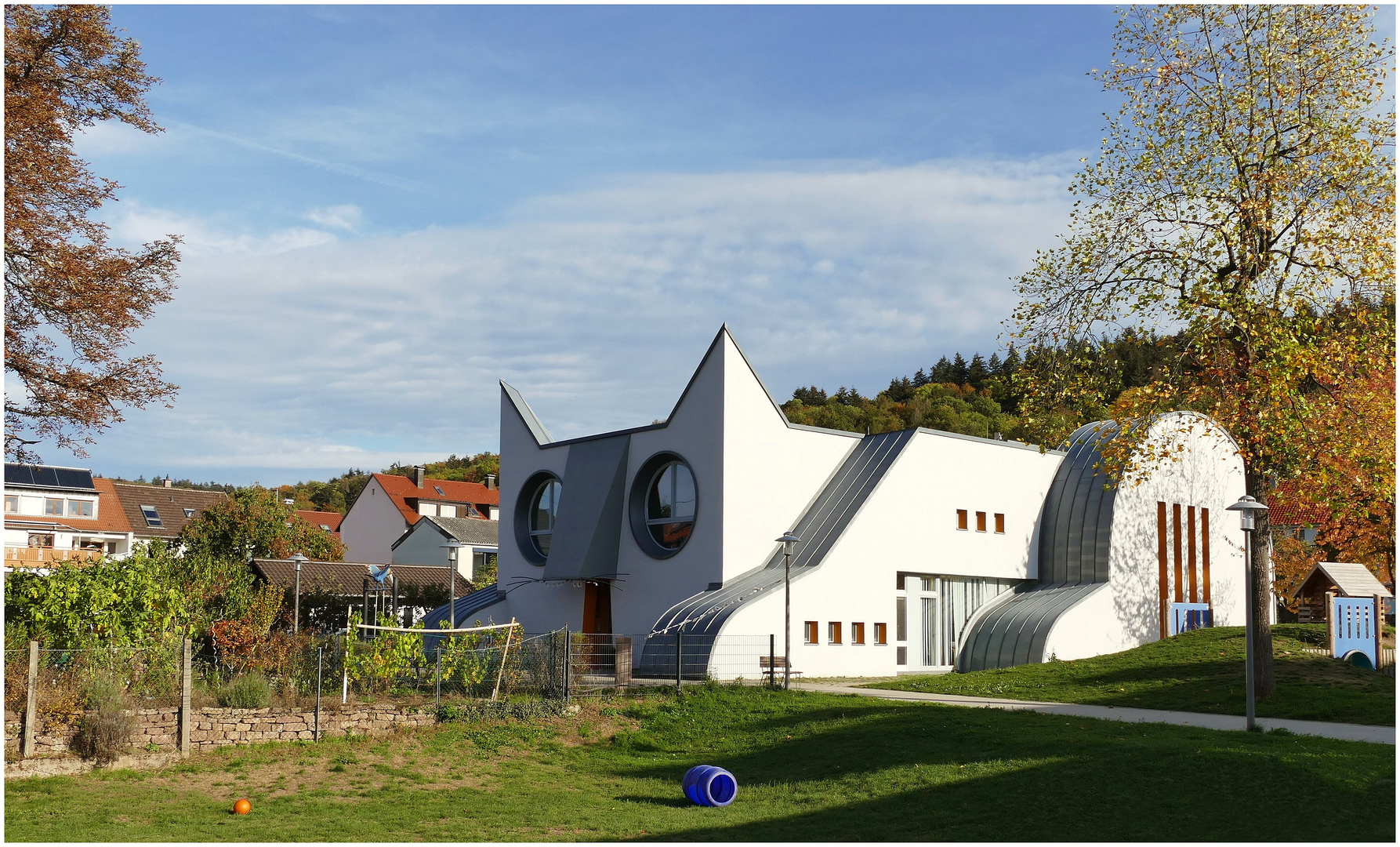 "Katze auf der Pirsch"