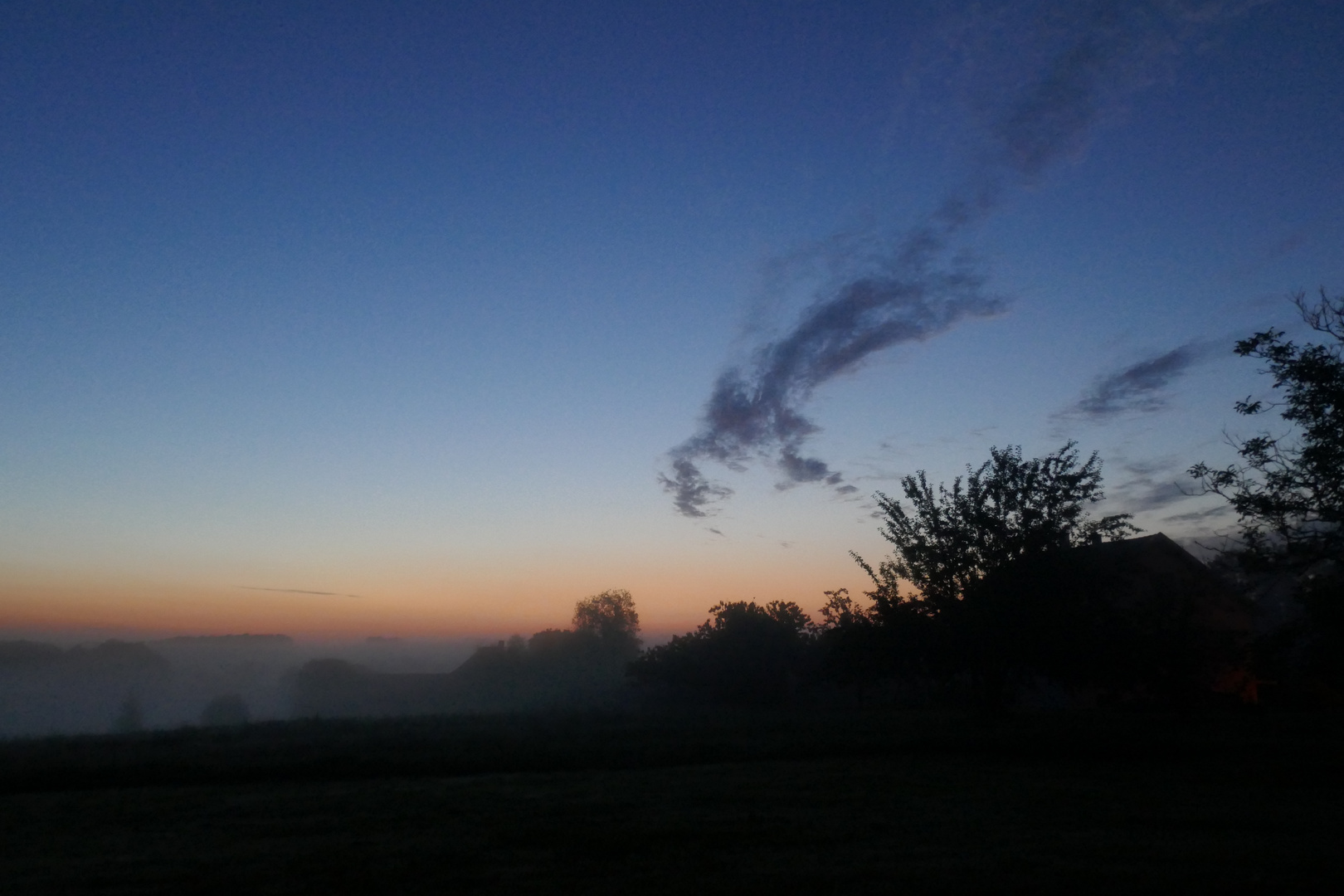 katze aus wolke