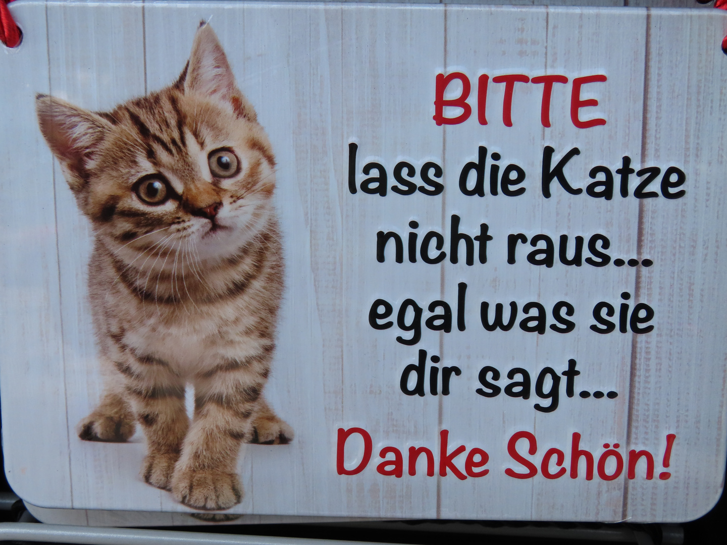 Katze für Frau Neune.....