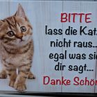 Katze für Frau Neune.....