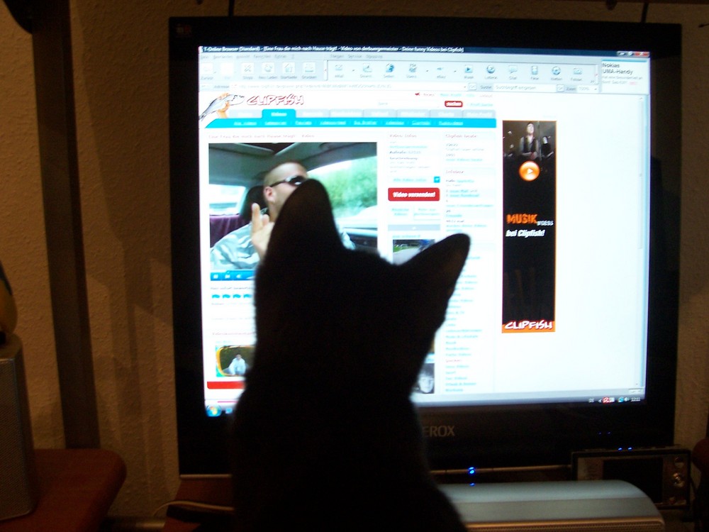 Katze guckt bei Clipfish