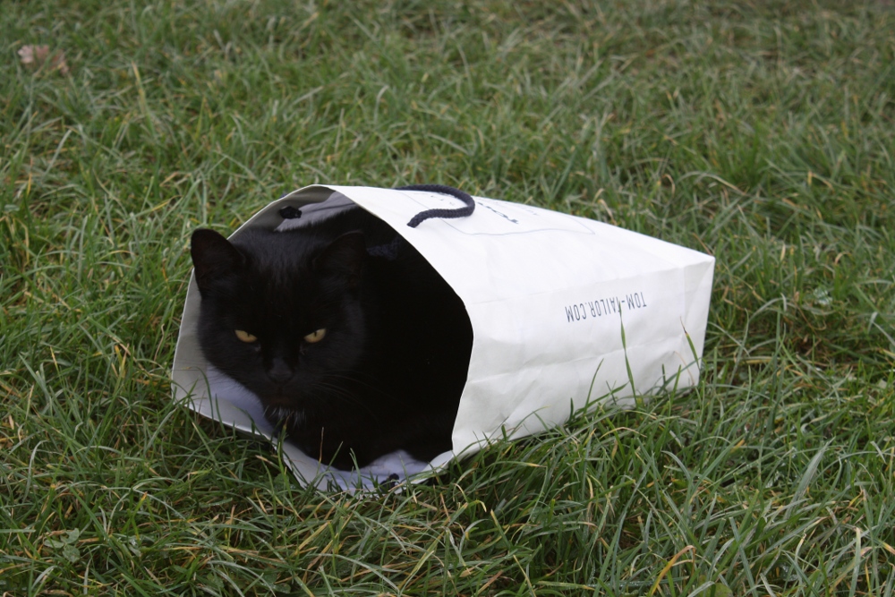 "Katze im Sack"